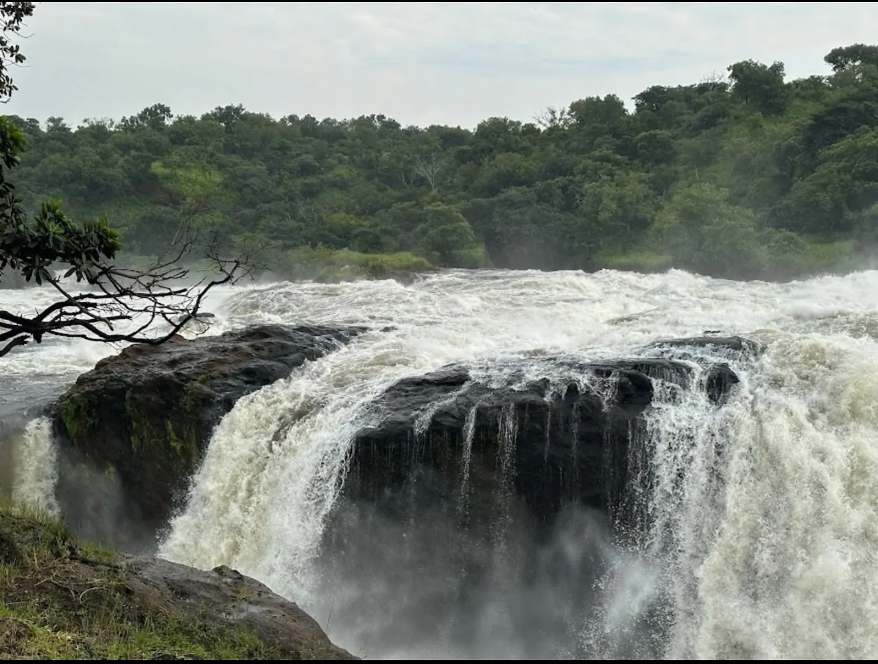 Murchison Falls & the Nile