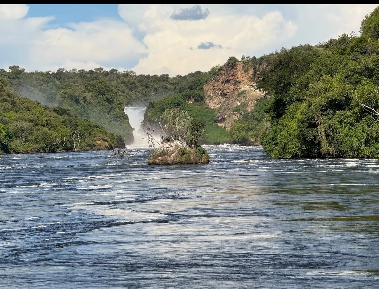 River and waterfall in lush green landscape